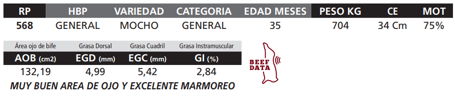 Lote LOTE 36