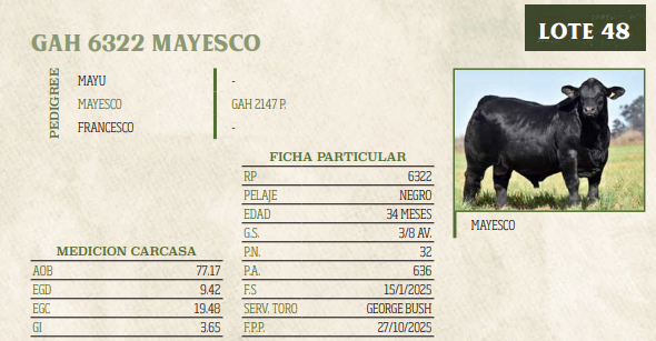 Lote LOTE 48