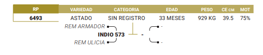 Lote LOTE 68
