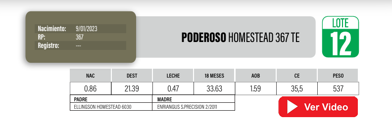 Lote Toros PI / PO / PC Angus a remate en Cabaña La Poderosa, Florida