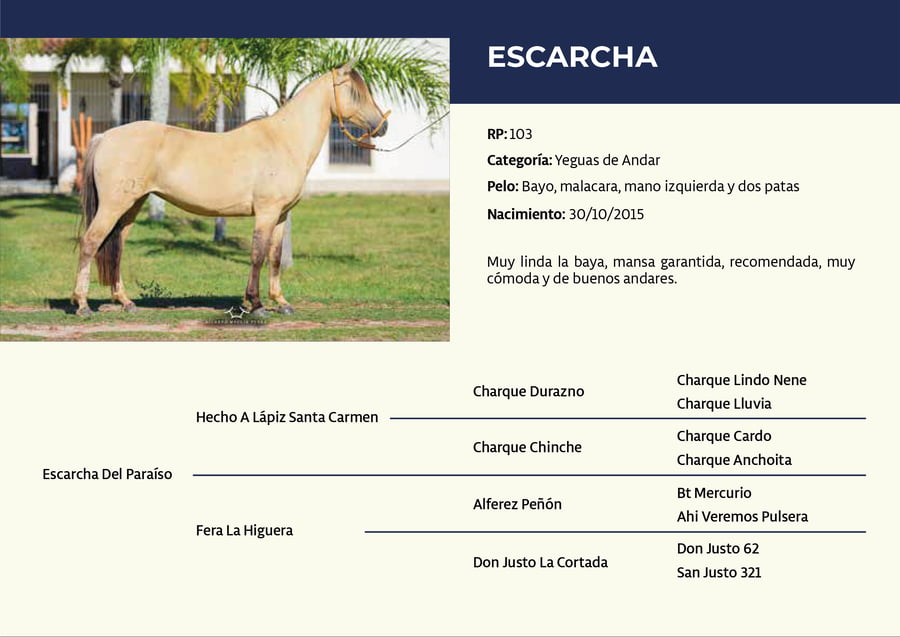 Lote RP 103 - Escarcha