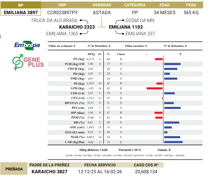 Lote LOTE 42