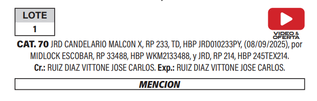 Lote LOTE 1
