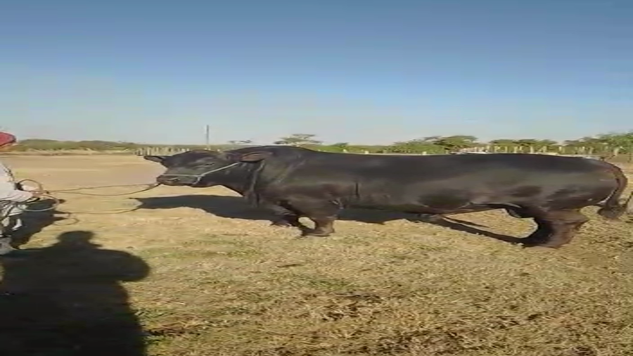 Lote CABAÑA LA NORTEÑA