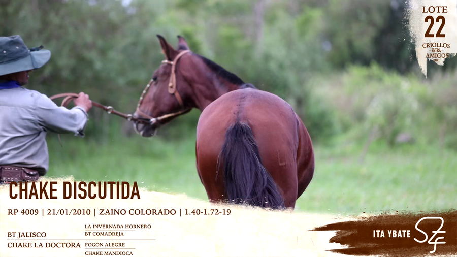 Lote CHAKE DISCUTIDA RP 4009