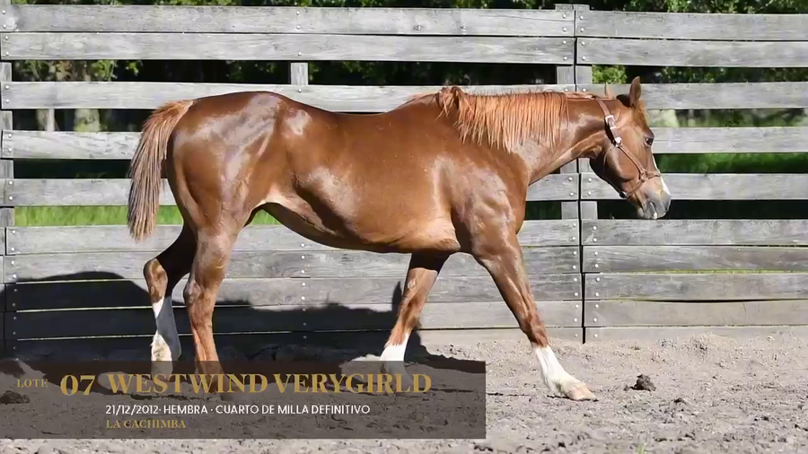 Lote Westwind Verygirld