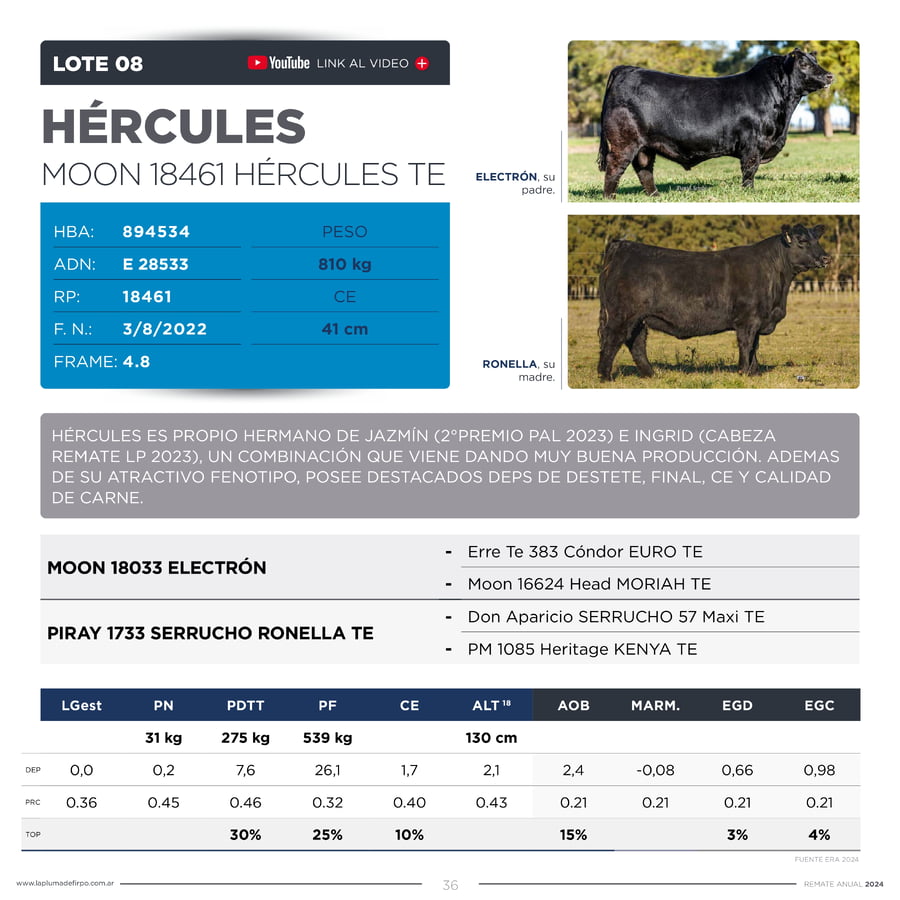 Lote TOROS PP DESTACADOS