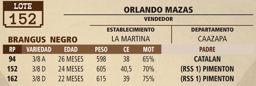Lote LOTE 152 - VIVO