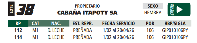 Lote LOTE 38