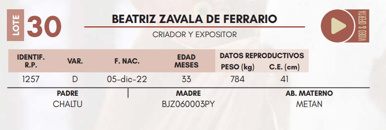 Lote LOTE 30 MACHOS DE CAMPO