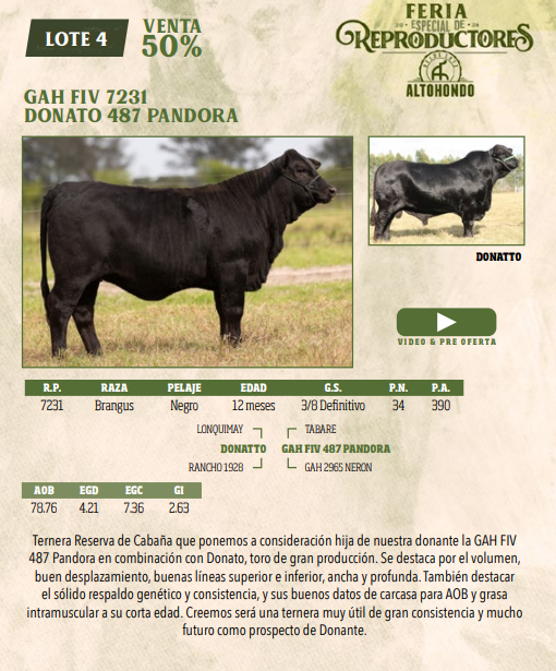 Lote LOTE 4- SALE A VENTA 50%