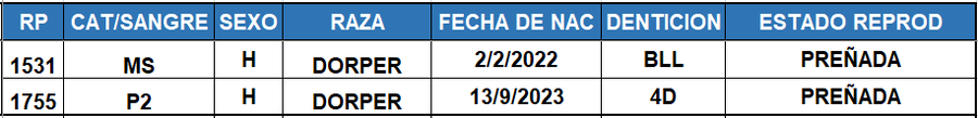 Lote LOTE 18