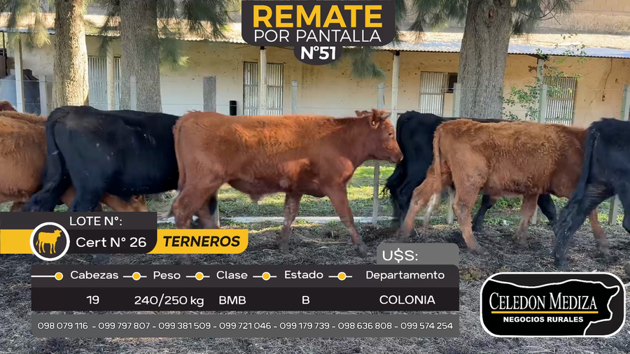 Lote 19 Terneros en Tarariras, Colonia