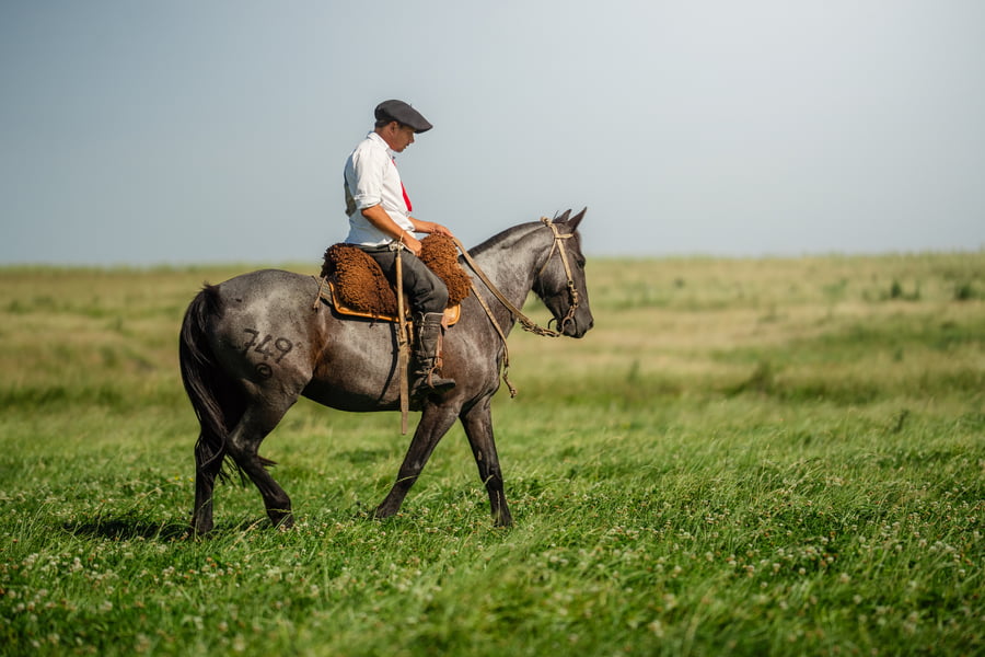 Lote Crucera Bordona