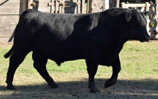 Lote CABAÑA "COEMBOTA" DE CALDERÓN RP 170