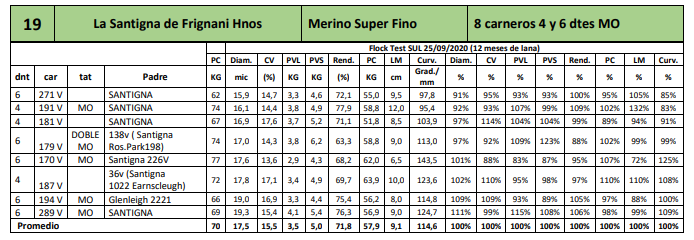 Lote 8 carneros 4 y 6 dtes MO