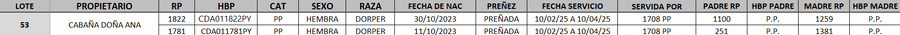 Lote LOTE 53- DESTACADO