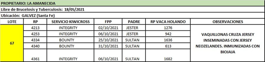 Lote Lote 67 La amanecida