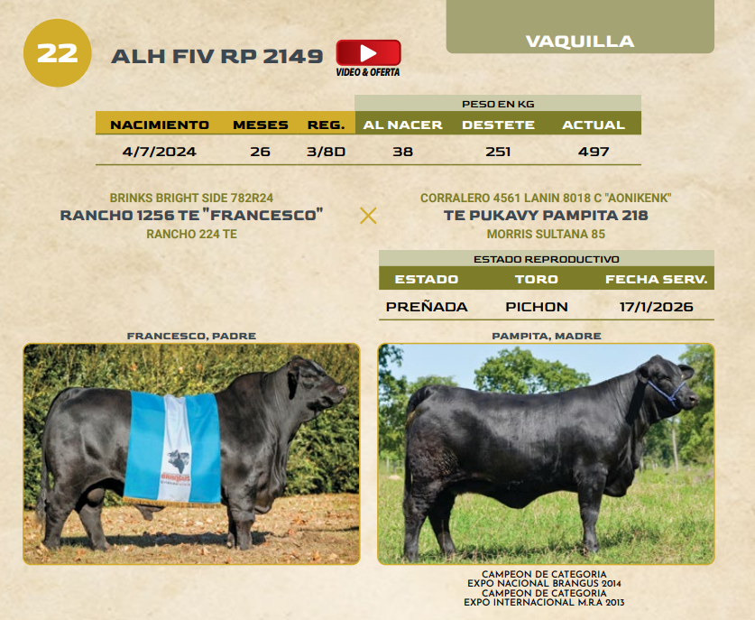 Lote LOTE 22