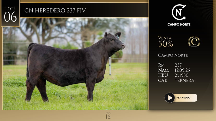 Lote CN HEREDERO 237 FIV