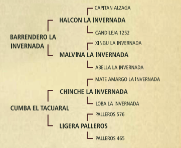 Lote Zarzuela el tacuaral