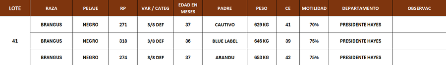 Lote LOTE 41