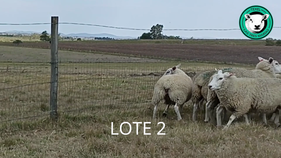 Lote Lote 2 - Las Tres Marìas