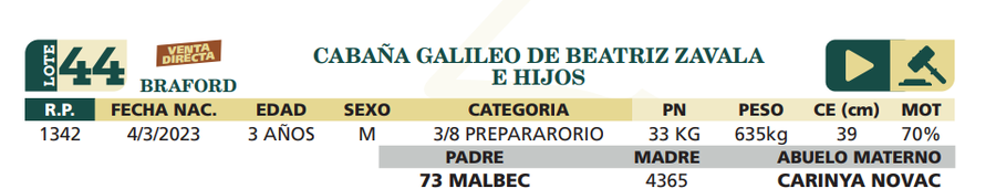 Lote LOTE 44