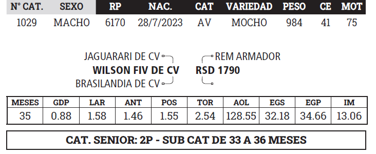 Lote LOTE 4 - BOZAL