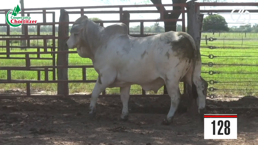 Lote Brahman