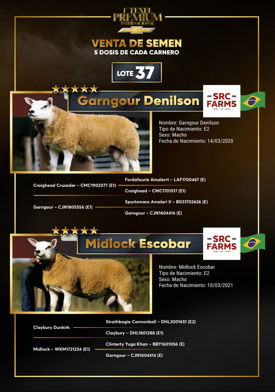 Lote Precio por dosis