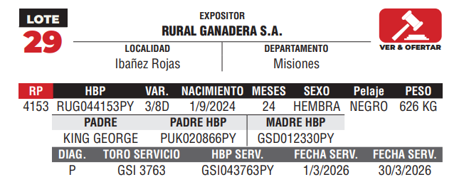 Lote LOTE 29 - DE CAMPO