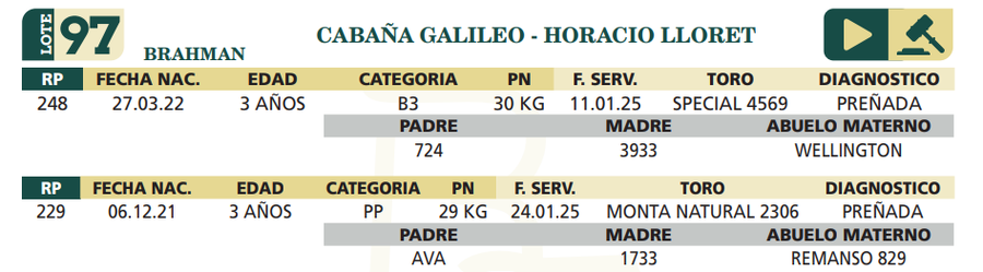 Lote LOTE 97