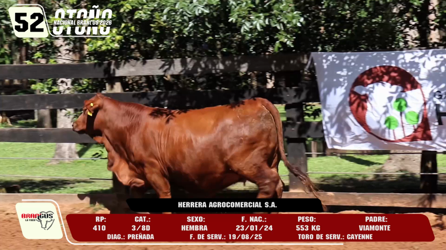 Lote LOTE 52 -DE CAMPO