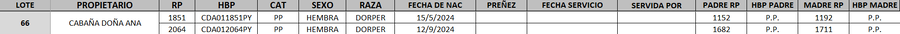 Lote LOTE 66- DESTACADO