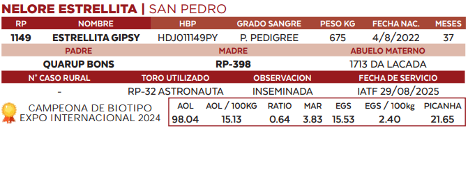 Lote LOTE 46