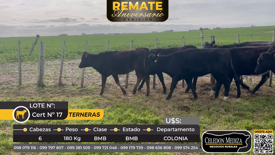 Lote 6 Terneras en Riachuelo, Colonia