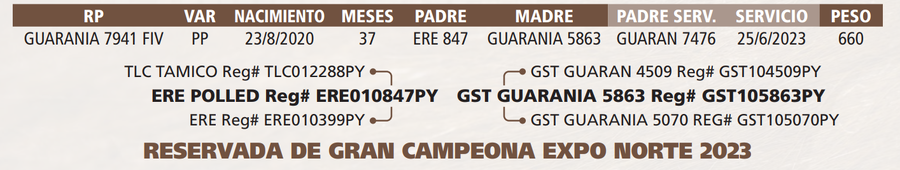 Lote LOTE 28 de BOZAL