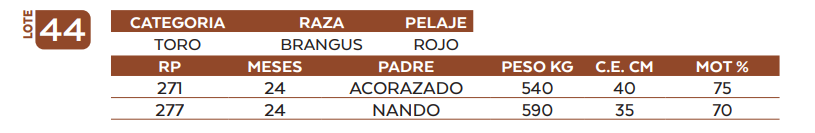 Lote LOTE 44