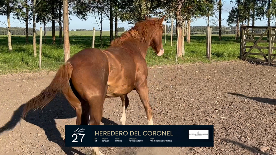 Lote HEREDERO DEL CORONEL