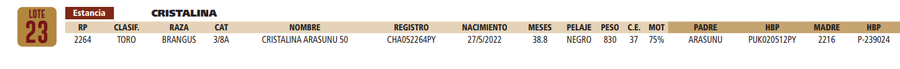 Lote LOTE 23