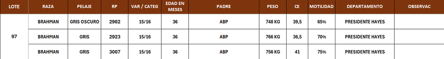 Lote LOTE 97- POR PANTALLA