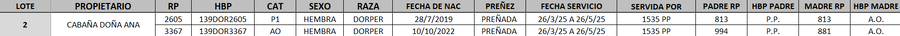 Lote LOTE 2