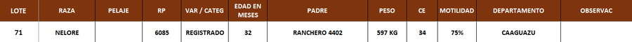 Lote LOTE 71