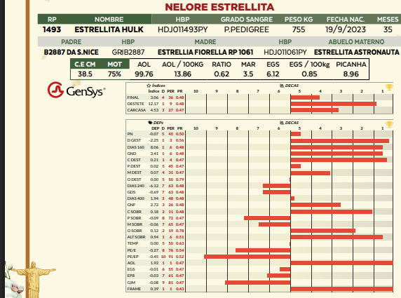 Lote LOTE 56