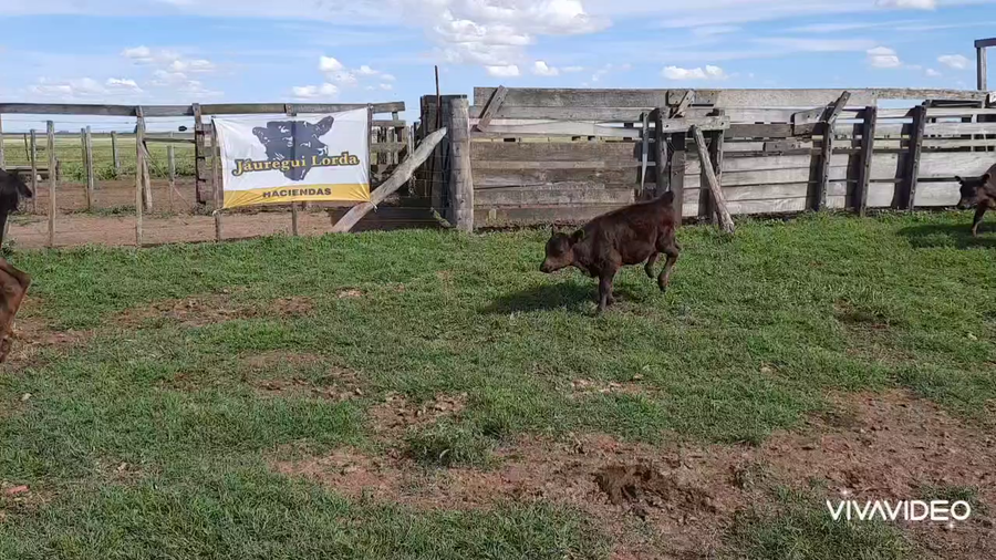 Lote 94 AL CTE (USADAS)