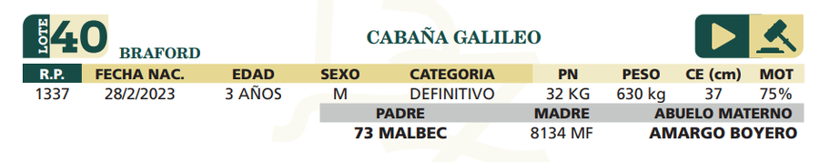 Lote LOTE 40