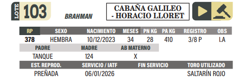 Lote LOTE 103