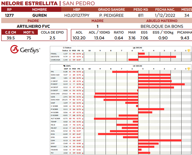 Lote LOTE 17