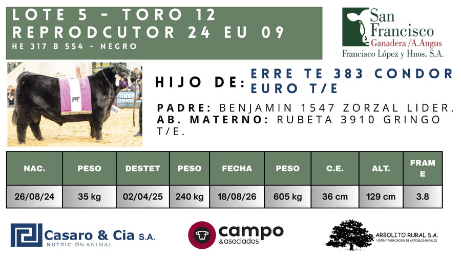 Lote TOROS  San Francisco